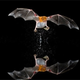 Illustration for article titled Bat echolocation could be a form of communication